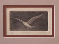 Seagull  NEW WORK-2012