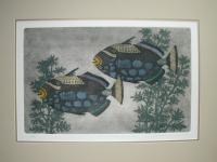 Clown Triggerfish (LARGE)