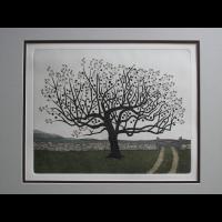 Fruitland  (NEW WORK 2012)