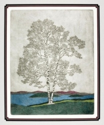 Sentinel Birch
