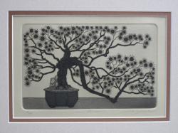 Sun Bonsai (Tan)