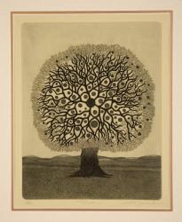 Treedom