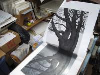 Printing an image of the Promontory Pine on the etching press!