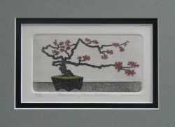 Cherry Bonsai  (MINI)  OUT OF PRINT