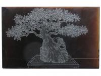 Ficus Bonsai Plate