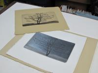 I just printed tree dance etching. 