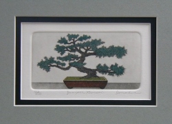 Juniper Bonsai   (MINI)    (OUT OF PRINT)