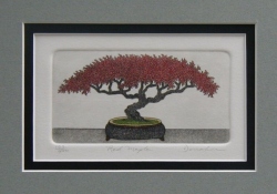 Red Maple   (MINI)    (OUT OF PRINT)